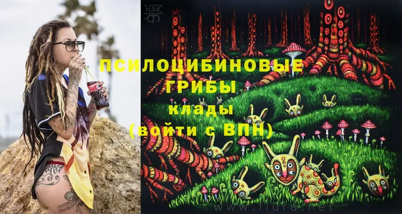 Галлюциногенные грибы Magic Shrooms  Жердевка 